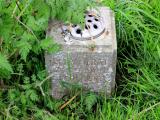 image of grave number 718783